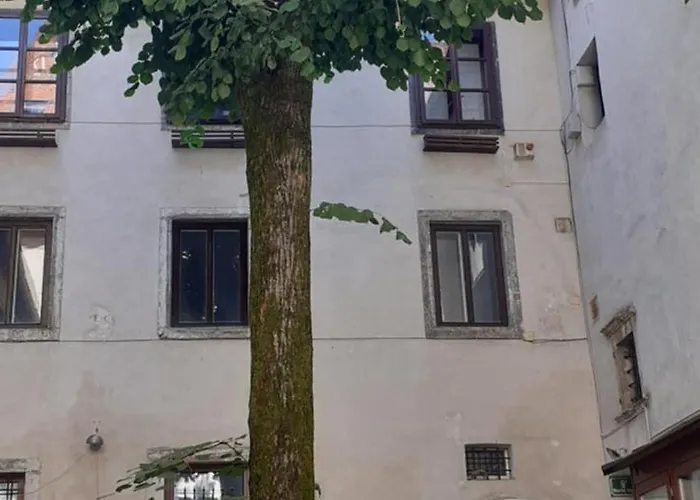 Lovely Old City-center לובליאנה